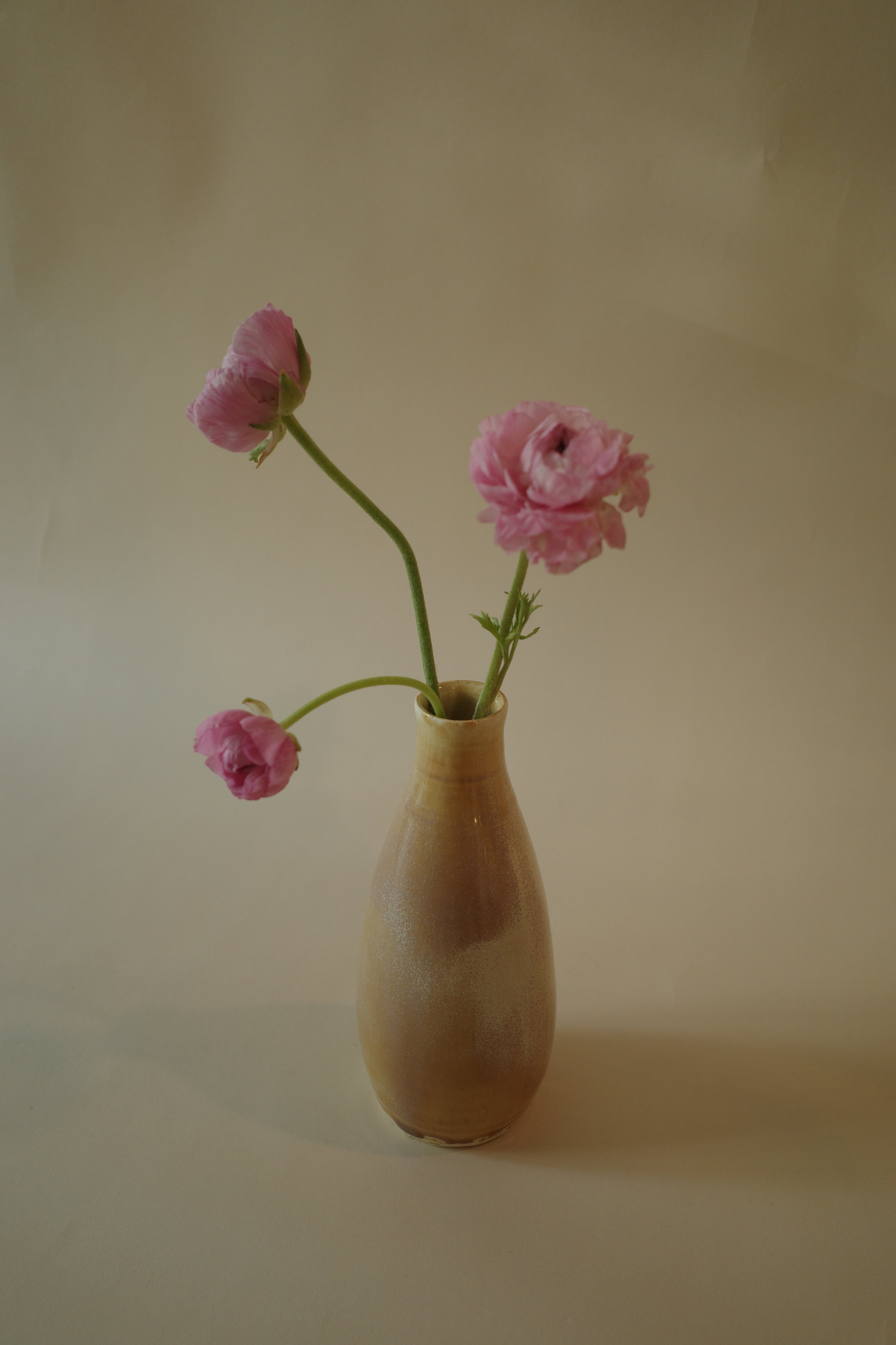 Vase 05 - Spring