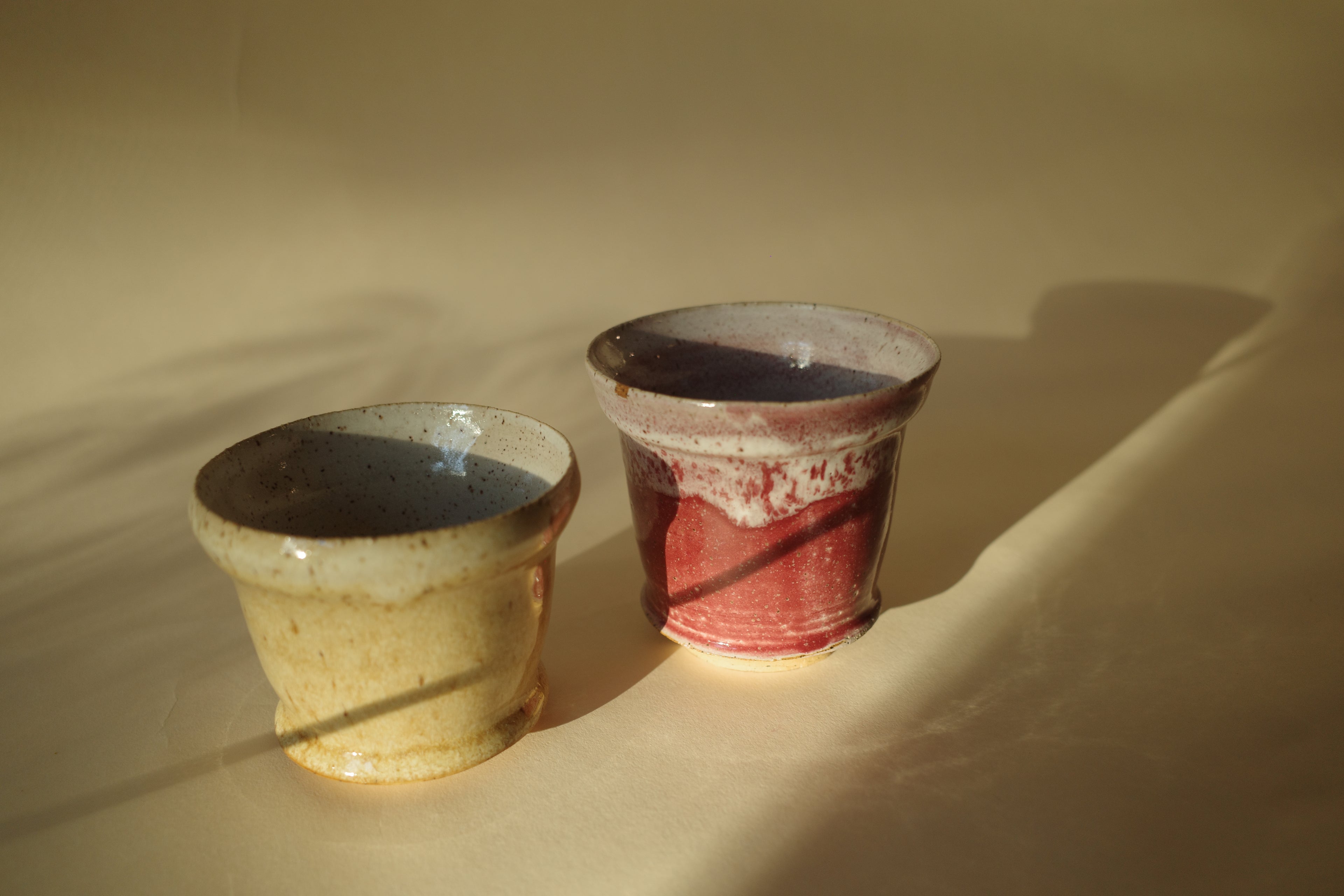 Cup 01 - Camel Snow