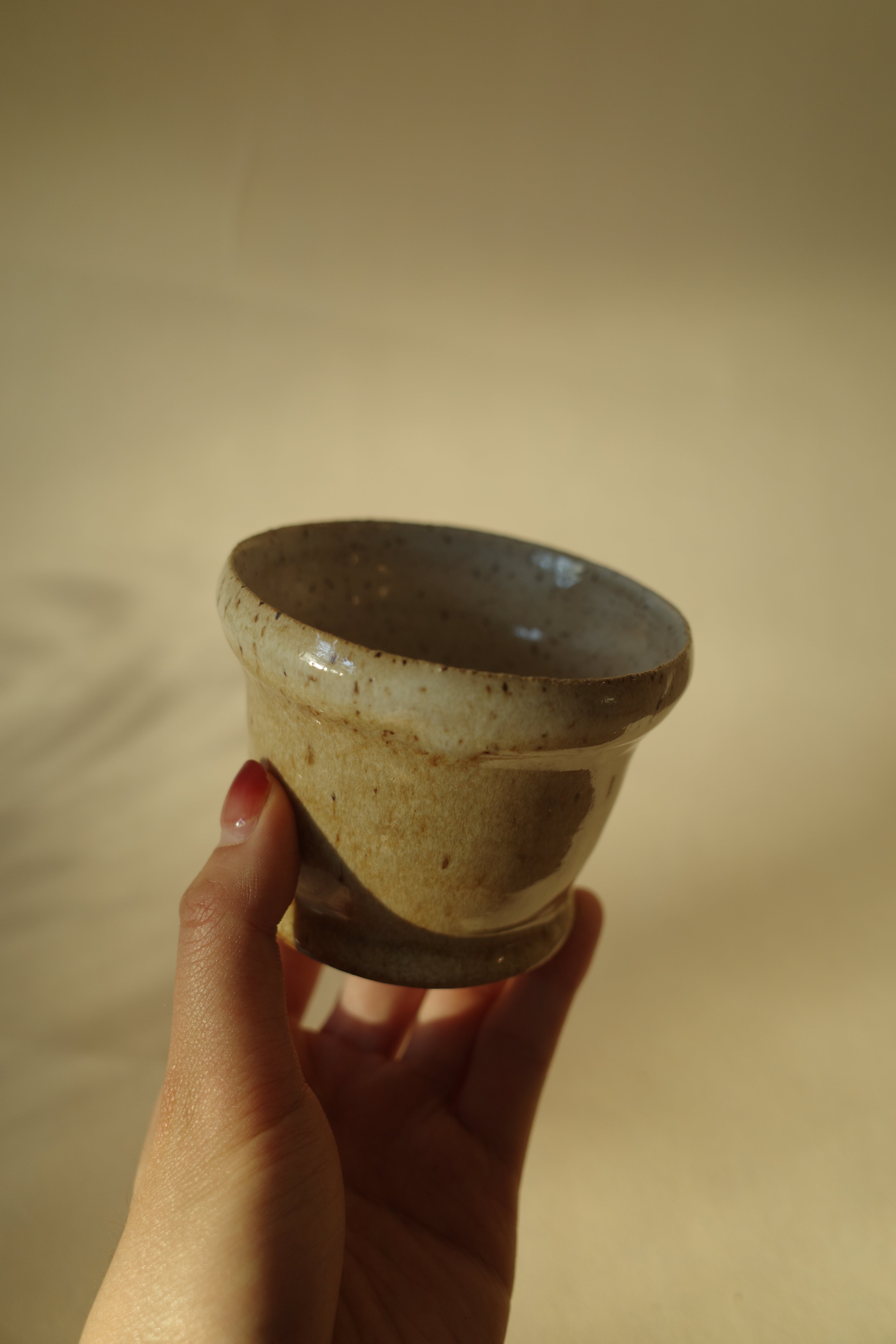 Cup 01 - Camel Snow