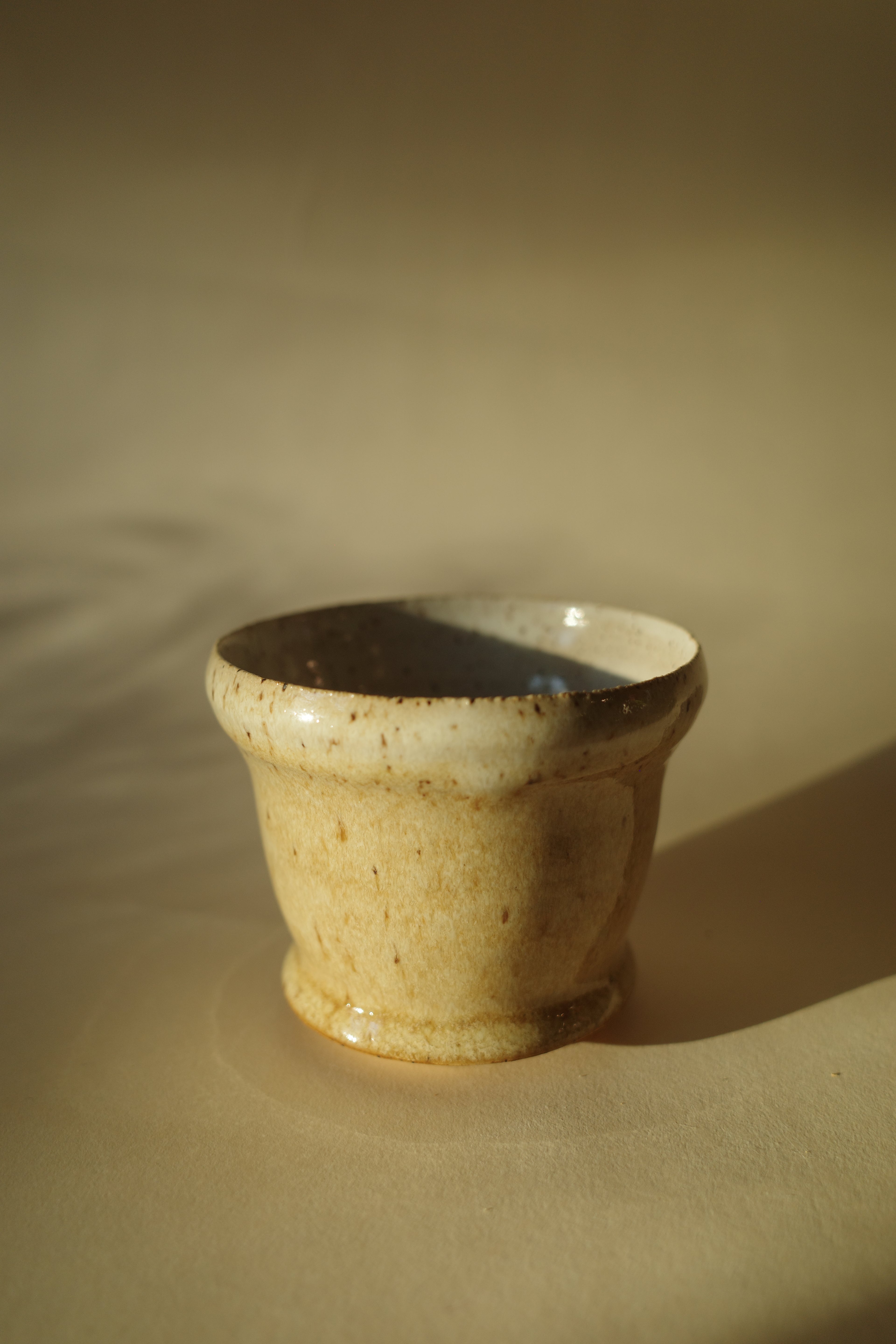 Cup 01 - Camel Snow