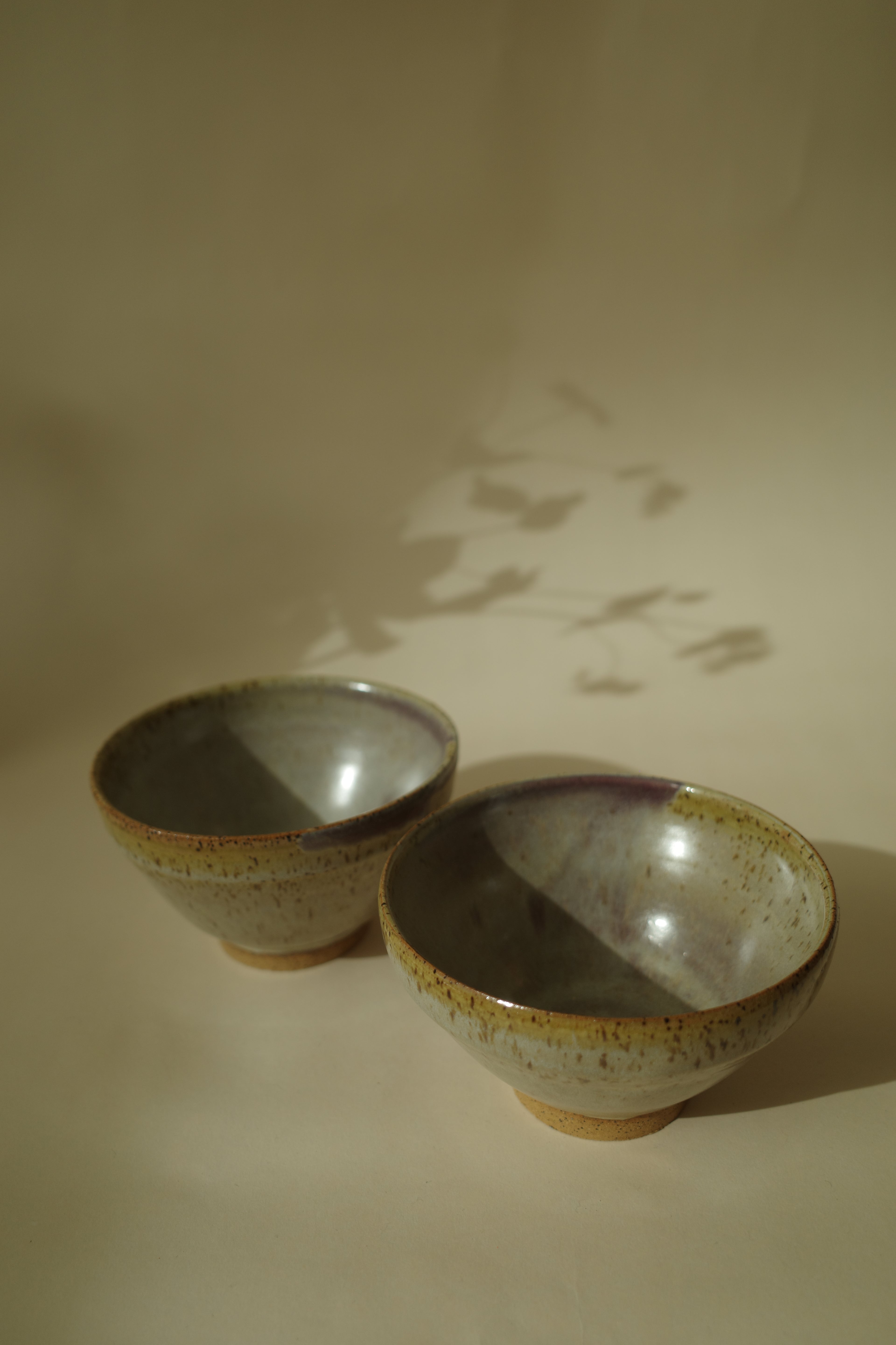 Bowl 03 & 04 - Stacked Silverline