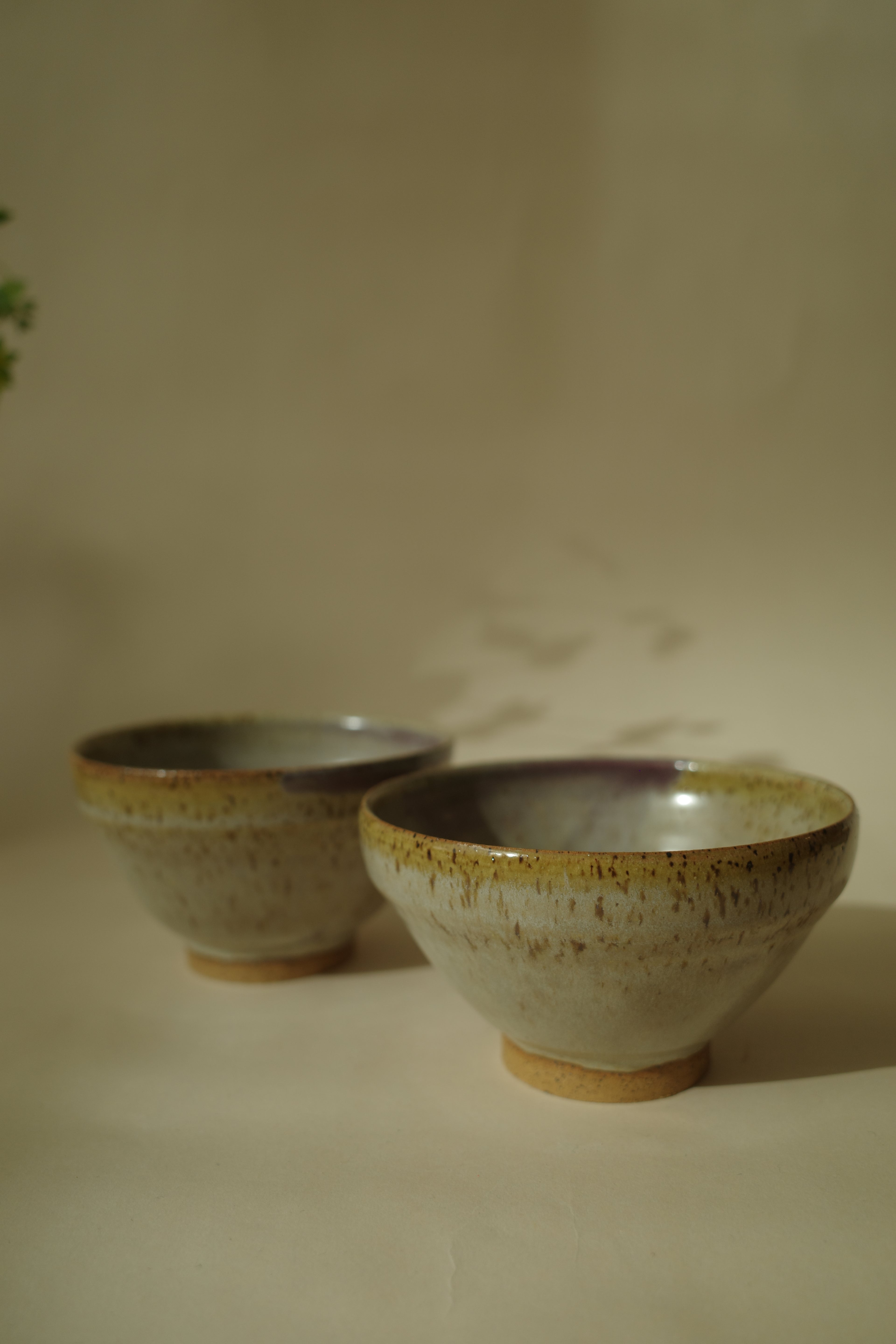 Bowl 03 & 04 - Stacked Silverline